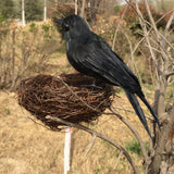Maxbell 3x Artificial Realistic Birds Ravens Crows for Garden Halloween Decoration