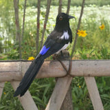 Maxbell 2Pcs Artificial Realistic Woodland Birds for Garden Weding Home Decoration