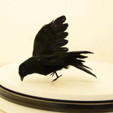 Maxbell 2Pcs Artificial Realistic Woodland Birds for Garden Weding Home Decoration