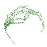 Maxbell 8x Artificial Flower String of Pearls Wall Hanging Succulents Plants 78cm