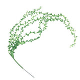 Maxbell 10x Artificial Flower String of Pearls Wall Hanging Succulent Plant 78+90cm