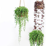 Maxbell Artificial Flower String of Pearls Wicker Wall Hanging Succulents Plants B