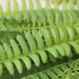 Maxbell 7-branch Artificial Leaf Simulation Plastic Persian Plant Home Wedding Decor