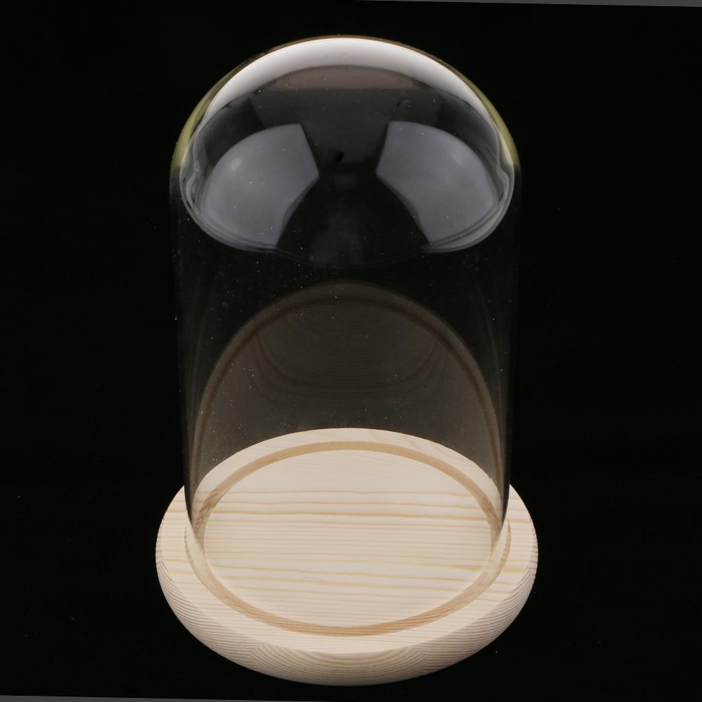 Maxbell Maxbell Wooden Glass Dome with Wooden Base Cloche Glass Cover Flower Vase Holder E