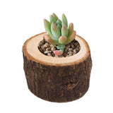 Maxbell 2pcs Tree Stump Wooden Candle Holder Tea Light Holder for Wedding Decor