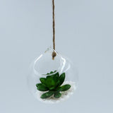 Maxbell 6x Hanging Glass Geometric Pot Hydroponic Flower Vase Container Flowerpot with Ropes - Aladdin Shoppers