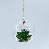 Maxbell 6x Hanging Glass Geometric Pot Hydroponic Flower Vase Container Flowerpot with Ropes - Aladdin Shoppers