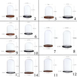 Maxbell 8 pcs Glass Dome Cloche with Wood Base Flower Landscape Holder Glass Cover