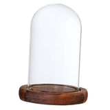 Maxbell 8 pcs Glass Dome Cloche with Wood Base Flower Landscape Holder Glass Cover