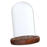 Maxbell 8 pcs Glass Dome Cloche with Wood Base Flower Landscape Holder Glass Cover