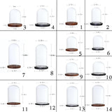 Maxbell 8 pcs Glass Dome Cloche with Wood Base Flower Landscape Holder Glass Cover