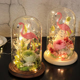 Maxbell 8 pcs Glass Dome Cloche with Wood Base Flower Landscape Holder Glass Cover