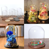 Maxbell 8 pcs Glass Dome Cloche with Wood Base Flower Landscape Holder Glass Cover