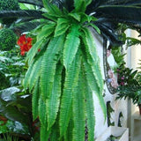Artificial Persian grass wall hanging home decoration green simulation fern grass plant rattan - Aladdin Shoppers