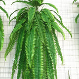 Artificial Persian grass wall hanging home decoration green simulation fern grass plant rattan - Aladdin Shoppers