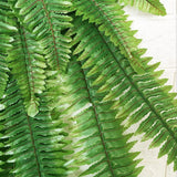 Artificial Persian grass wall hanging home decoration green simulation fern grass plant rattan - Aladdin Shoppers
