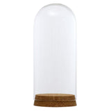 Maxbell Glass Cover Landscape Terrarium Container Lid Vase Bottle 8x18cm