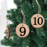 Maxbell 10 Pcs Wooden Slices Hanging Cricle Ornaments From 1 To 10 Numbers Smoothly Surface Safe To Use - Aladdin Shoppers