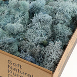 Maxbell Maxbell Natural Dried Reindeer Moss Treated Immortal moss Crafts DIY Floral Decor Light Blue