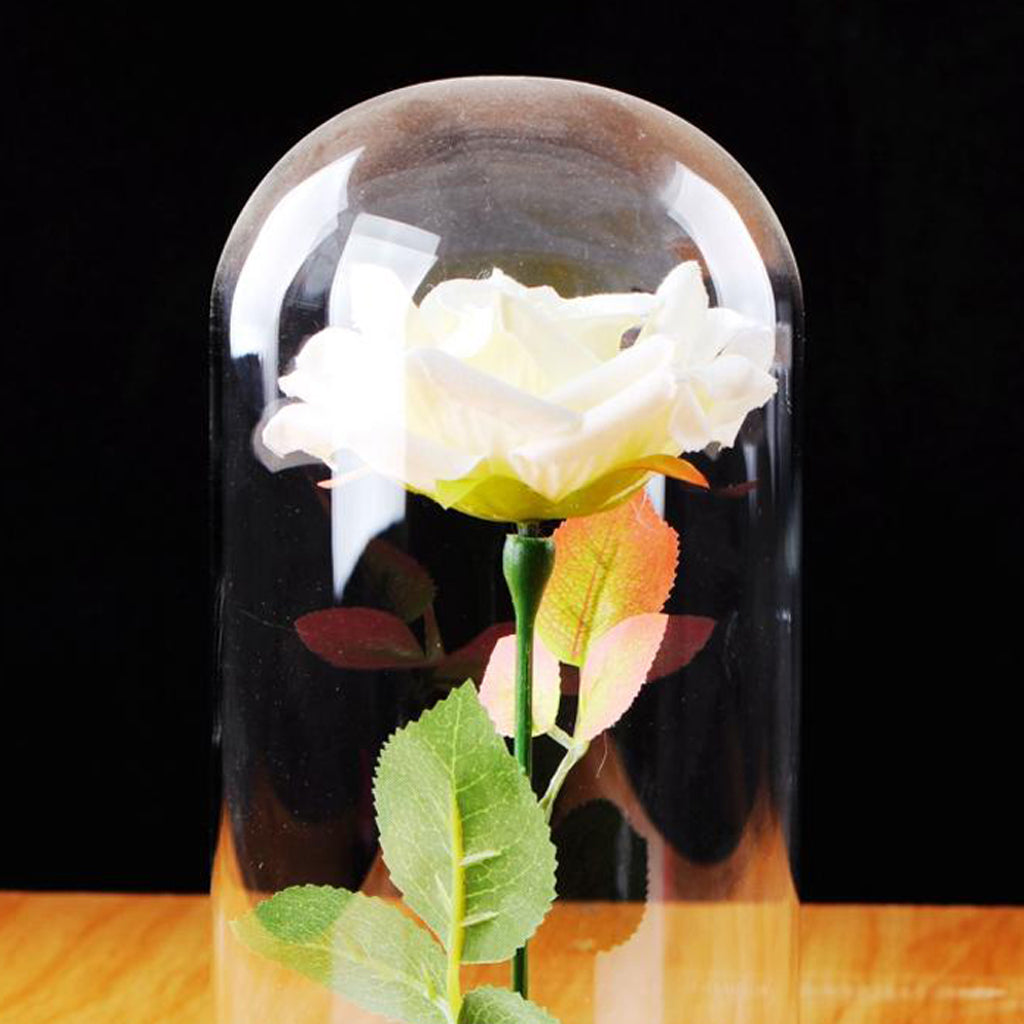 Maxbell Maxbell Glass Cover Dome With Rose Flower Microlandscape Centerpiece Yellow
