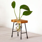 Maxbell 1/2/3 Bottle Test Tube Flower Vase ChairWooden Stand for Hydroponic Plant