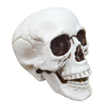 Maxbell Horrible Stimulation Skeleton Skull Plastic Halloween Decoration Prop