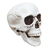 Maxbell Horrible Stimulation Skeleton Skull Plastic Halloween Decoration Prop
