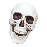 Maxbell Horrible Stimulation Skeleton Skull Plastic Halloween Decoration Prop