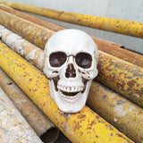 Maxbell Horrible Stimulation Skeleton Skull Plastic Halloween Decoration Prop