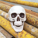 Maxbell Horrible Stimulation Skeleton Skull Plastic Halloween Decoration Prop