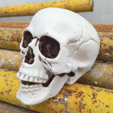 Maxbell Horrible Stimulation Skeleton Skull Plastic Halloween Decoration Prop