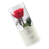Maxbell Everlating Rose Flower Charms DIY Permanent Rose Flower Style03