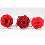 Maxbell Everlating Rose Flower Charms DIY Permanent Rose Flower Style03