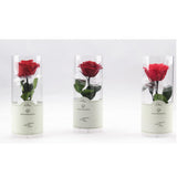 Maxbell Everlating Rose Flower Charms DIY Permanent Rose Flower Style03