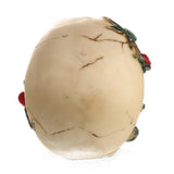 Maxbell Animated Halloween Display Resin White Skull with Red Rose & Green Leaves