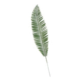 Maxbell Fake Plants Fern Green Leaf Home Garden Decor Big Cycas Fern Dark Green
