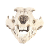 Maxbell Resin Artificial Animal Skull for Party Aquarium Ornament Snow Leopard