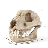 Maxbell Resin Artificial Animal Skull for Party Aquarium Ornament Snow Leopard