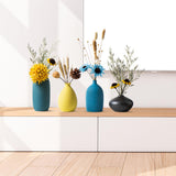 Maxbell 2x Nordic Flower Vase Bottle Ceramic Flower Vase for Office