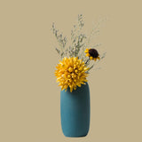 Maxbell 2x Nordic Flower Vase Bottle Ceramic Flower Vase for Office