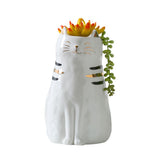Maxbell 2x Cute Cat Plant Pot Planter Flower Pot Plant Succulent Container Decor