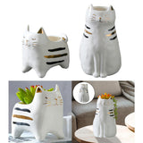 Maxbell 2x Cute Cat Plant Pot Planter Flower Pot Plant Succulent Container Decor