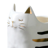 Maxbell 2x Cute Cat Plant Pot Planter Flower Pot Plant Succulent Container Decor