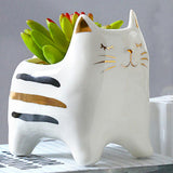 Maxbell 2x Cute Cat Plant Pot Planter Flower Pot Plant Succulent Container Decor