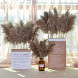 16x10x Natural Dried Pampas Grass Reed Flower Bunch Bouquet Home Decor 50-60cm