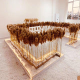 16x10x Natural Dried Pampas Grass Reed Flower Bunch Bouquet Home Decor 50-60cm