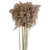 16x10x Natural Dried Pampas Grass Reed Flower Bunch Bouquet Home Decor 50-60cm