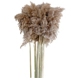 16x10x Natural Dried Pampas Grass Reed Flower Bunch Bouquet Home Decor 50-60cm