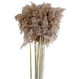 16x10x Natural Dried Pampas Grass Reed Flower Bunch Bouquet Home Decor 50-60cm