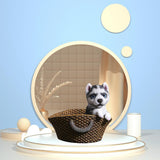 19